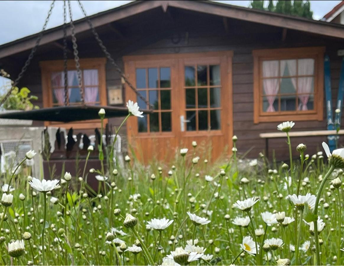 Ferienhaus Jutta Am Bodensee Villa Uhldingen-Mühlhofen Esterno foto